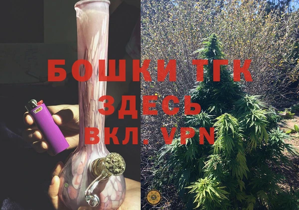 твердый Ладушкин