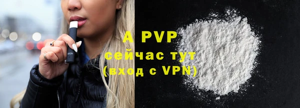 Альфа ПВП Лабытнанги