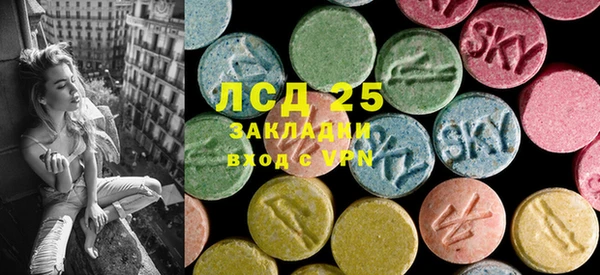 твердый Ладушкин